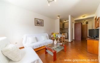 Apartment-for-rent-in-Budva (1)